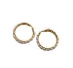 Natural Pearl Charms