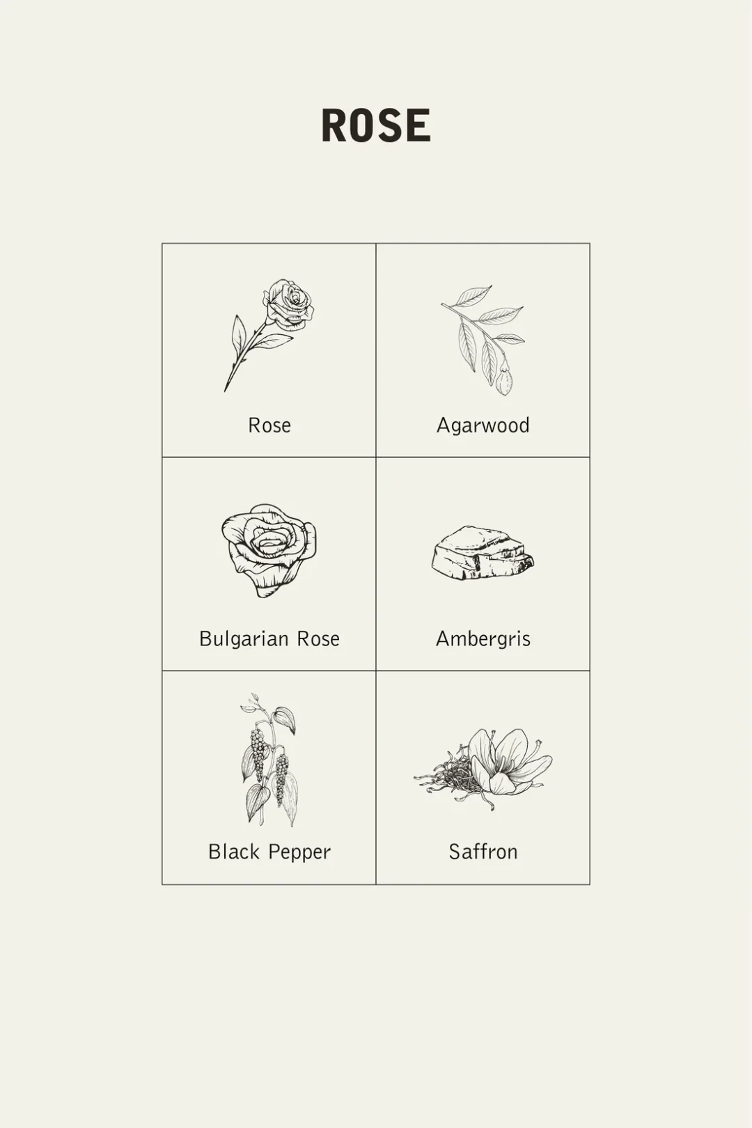 Rose