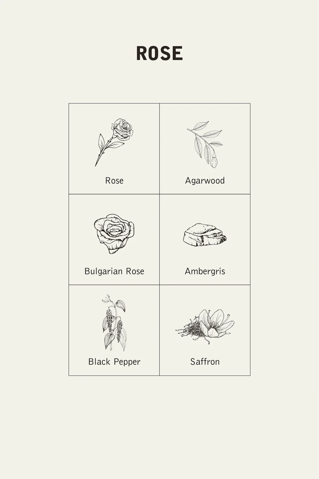 ROSE 2