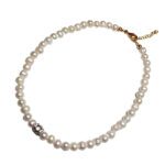 Lustrous Pearl Elegance