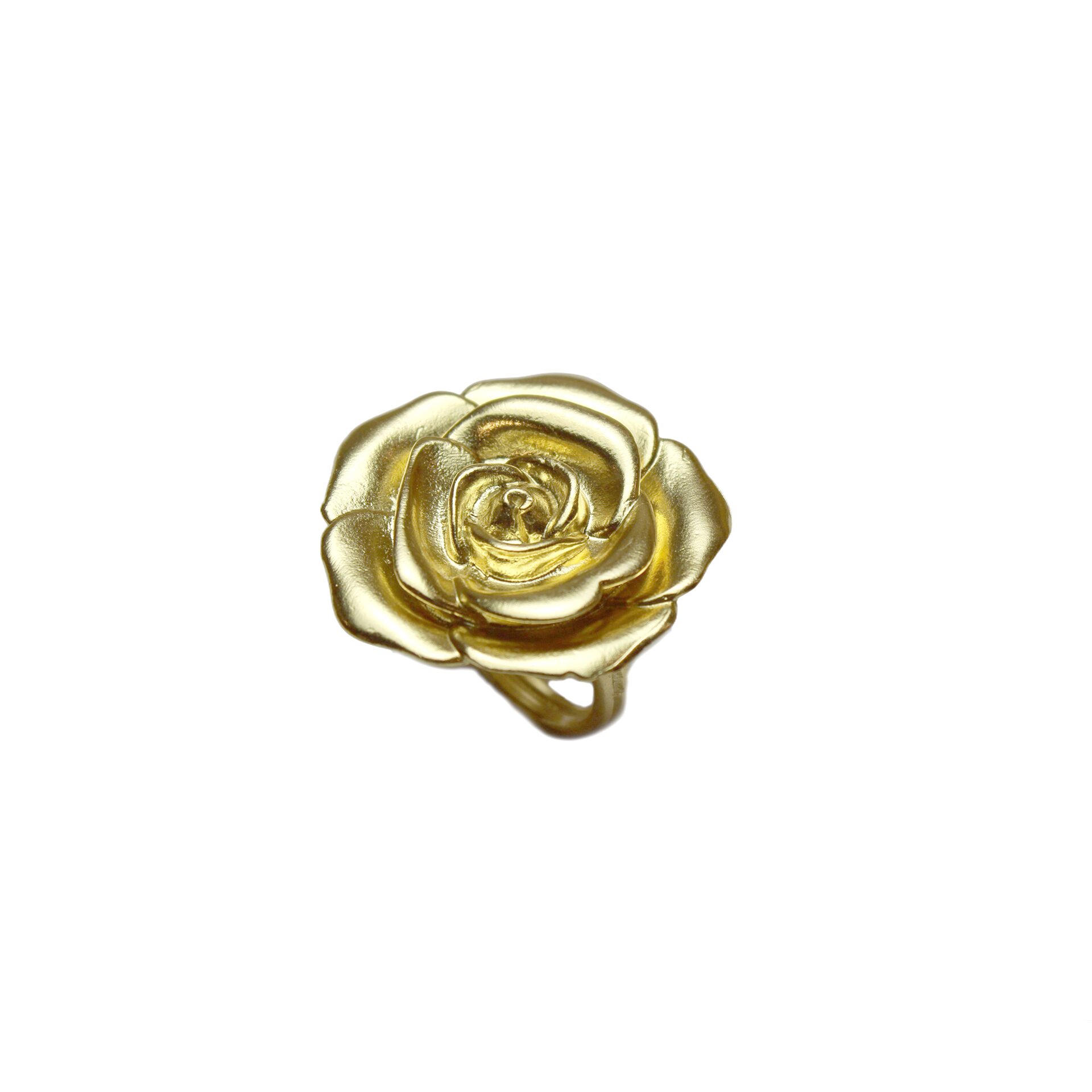 Golden Rose
